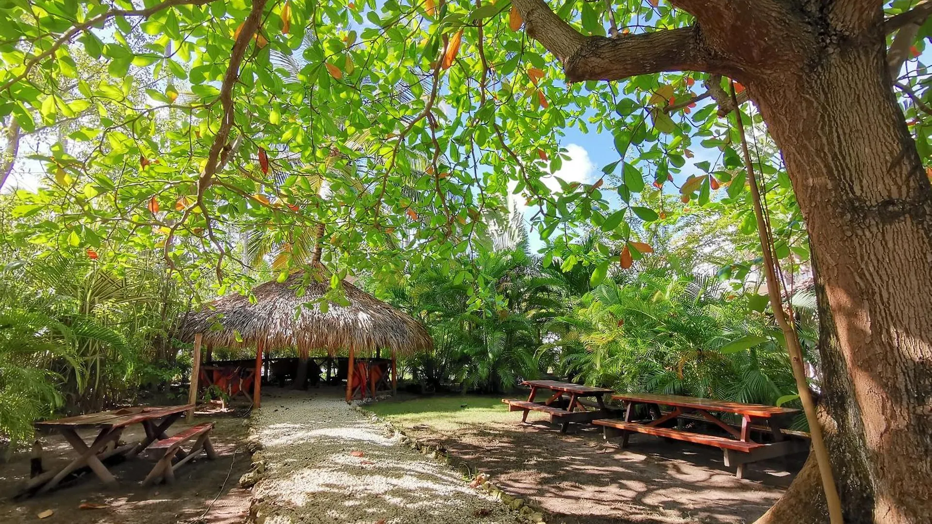 Caribbean Villas And Suites - Playa Los Corales Punta Cana Den Dominikanske Republik